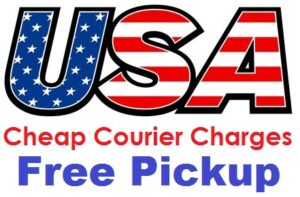 Courier Charges To California From Lucknow